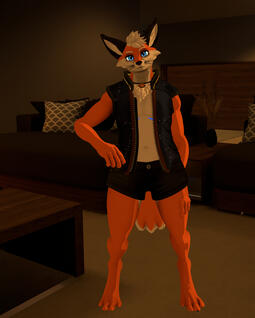 My Foxxo